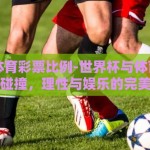 世界杯体育彩票比例-世界杯与体育彩票的激情碰撞，理性与娱乐的完美平衡
