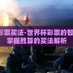 世界杯彩票买法-世界杯彩票的智慧选择，掌握胜算的买法解析