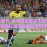 在哪赌世界杯-全球足球盛事中的智慧冒险，你有权知道在何处赌世界杯