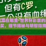 世界杯彩票在哪里-世界杯彩票的选择与购买，细节揭秘与明智指南