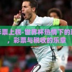 世界杯彩票上税-世界杯热情下的理性之弦，彩票与税收的乐章
