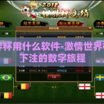 下注世界杯用什么软件-激情世界杯，明智下注的数字旅程