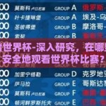 在哪里赌世界杯-深入研究，在哪里合法且安全地观看世界杯比赛？