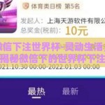怎么用微信下注世界杯-灵动生活，指尖观赛——揭秘微信下的世界杯下注新体验