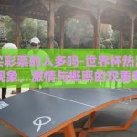 世界杯买彩票的人多吗-世界杯热潮下的购彩现象，激情与概率的双重考量