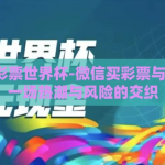 微信买彩票世界杯-微信买彩票与世界杯，一场热潮与风险的交织