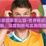 世界杯彩票赔率怎么算-世界杯彩票赔率详解，深度剖析与实用指南
