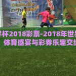 足球世界杯2018彩票-2018年世界杯足球，体育盛宴与彩券乐趣交织
