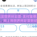 支付宝能买世界杯彩票-支付宝带来崭新体验，网上购世界杯彩票新纪元