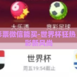世界杯彩票微信能买-世界杯狂热，微信购彩新风尚