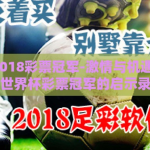 世界杯2018彩票冠军-激情与机遇，2018世界杯彩票冠军的启示录