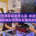 体彩中的世界杯彩票怎么买-走进足球盛宴，揭秘体彩世界杯彩票购买指南