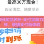 支付宝如何买世界杯-支付宝助力观看世界杯，便捷支付新体验