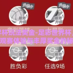 足彩世界杯玩法奖金-足彩世界杯，解锁独特观赛体验与丰厚奖金的秘籍
