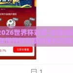 微信买2026世界杯彩票-微信购彩，2026年世界杯彩票的便利与风险