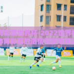 中国体育彩票世界杯-2022世界杯，中国体育彩票的激情与梦想并进