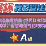 世界杯竞猜彩票结果-世界杯竞猜彩票，乐在其中，智慧与运气的巧妙融合