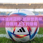足球世界杯赌得赢吗-足球世界杯，理性看待赛场上下的赌局