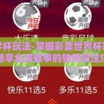 彩票世界杯玩法-掌握彩票世界杯玩法，助您畅享全球盛事的独特投注乐趣