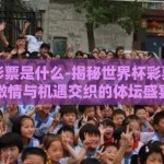 世界杯彩票是什么-揭秘世界杯彩票，一场激情与机遇交织的体坛盛宴
