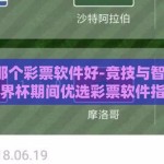 世界杯那个彩票软件好-竞技与智慧并重，世界杯期间优选彩票软件指南