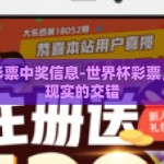 世界杯彩票中奖信息-世界杯彩票，梦想与现实的交错