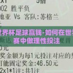 怎么赌世界杯足球赢钱-如何在世界杯足球赛中做理性投注