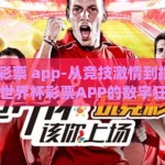 世界杯 彩票 app-从竞技激情到指尖乐趣，世界杯彩票APP的数字狂欢