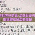 足球彩票世界杯赔率-足球彩票与世界杯，揭秘赔率背后的奥秘