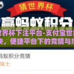支付宝世界杯下注平台-支付宝世界杯激情对决，便捷平台下的竞猜与乐趣