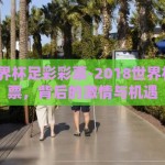2018世界杯足彩彩票-2018世界杯足彩彩票，背后的激情与机遇