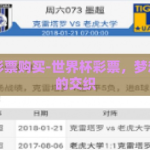 世界杯彩票购买-世界杯彩票，梦想与规则的交织