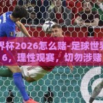 足球世界杯2026怎么赌-足球世界杯2026，理性观赛，切勿涉赌