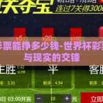 世界杯彩票能挣多少钱-世界杯彩票，梦想与现实的交锋
