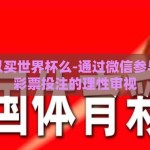 微信可以买世界杯么-通过微信参与世界杯彩票投注的理性审视