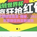 世界杯彩票微信能买-揭秘，2022世界杯彩票微信购买新趋势