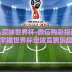 微信怎么买球世界杯-微信购彩指南，轻松掌握世界杯足球竞猜乐趣