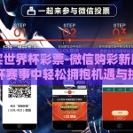 微信购买世界杯彩票-微信购彩新风尚，世界杯赛事中轻松拥抱机遇与挑战