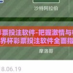 世界杯彩票投注软件-把握激情与机遇——世界杯彩票投注软件全面指南