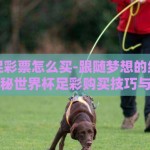 世界杯足彩票怎么买-跟随梦想的绿茵之旅，揭秘世界杯足彩购买技巧与策略