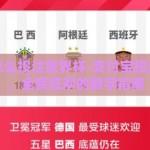 支付宝怎么投注世界杯-支付宝投注世界杯，全民狂欢的数字指南