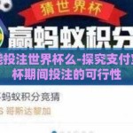 支付宝能投注世界杯么-探究支付宝在世界杯期间投注的可行性
