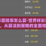 世界杯彩票赔率怎么算-世界杯彩票赔率解析，从算法到策略的全面观察