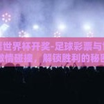 足球彩票世界杯开奖-足球彩票与世界杯的激情碰撞，解锁胜利的秘密