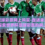 世界杯足球彩票网上购买-走进未来足球热潮——探索世界杯足球彩票的网上购买体验