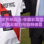 中国彩票世界杯玩法-中国彩票世界杯玩法的多彩魅力与独特体验