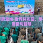 世界杯彩票查询-世界杯彩票，尽在掌握的激情与智慧