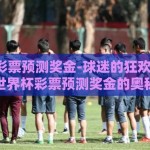 世界杯彩票预测奖金-球迷的狂欢与智慧，世界杯彩票预测奖金的奥秘