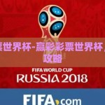 赢彩彩票世界杯-赢彩彩票世界杯，激战与攻略