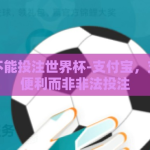 支付宝不能投注世界杯-支付宝，支持生活便利而非非法投注